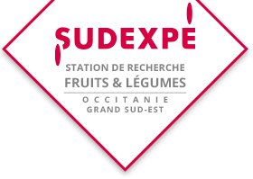Logo Sud Expe