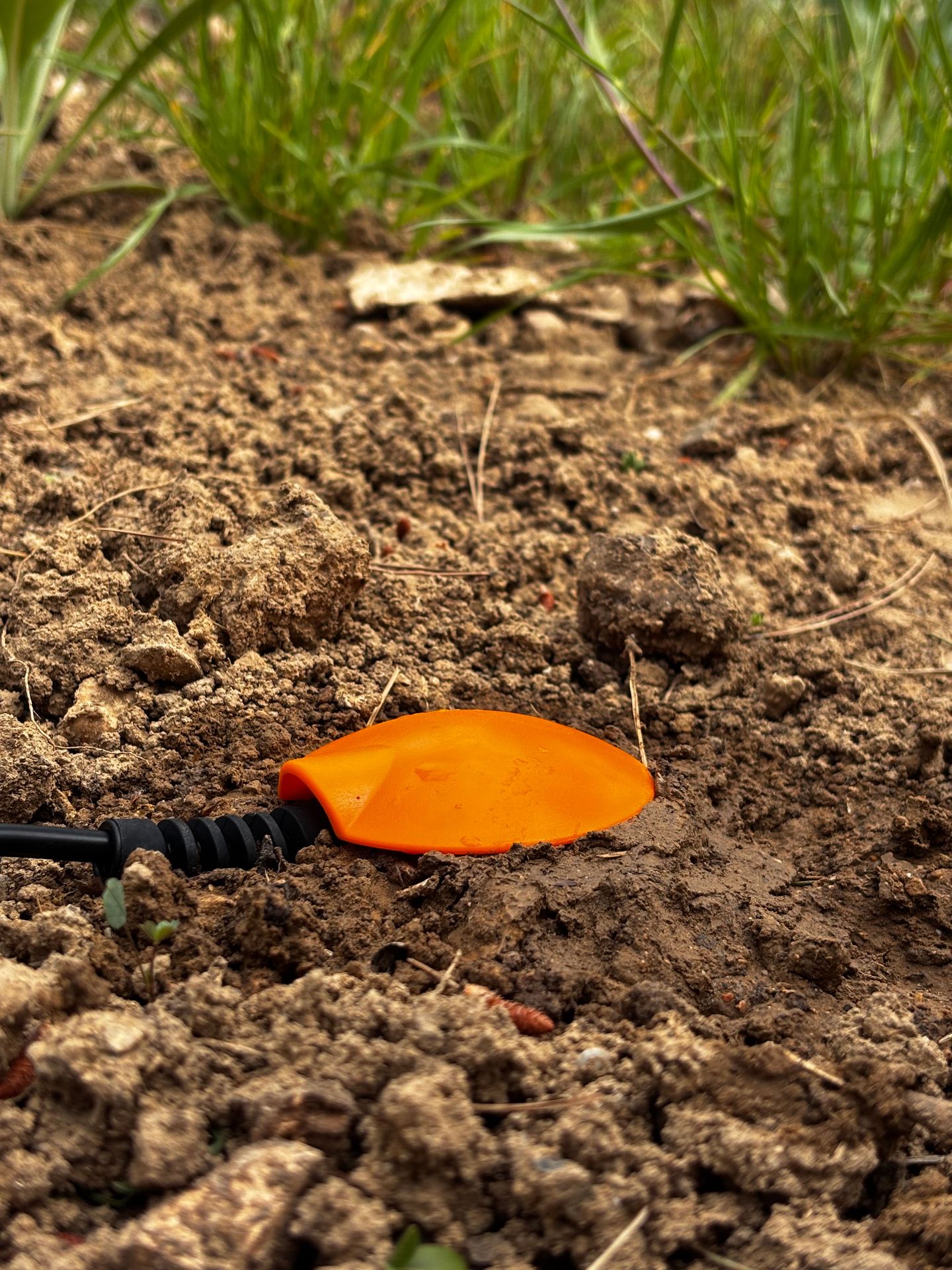 Sonde capacitive HydraScout installée dans le sol pour le pilotage de l’irrigation agricole par HSTI-France